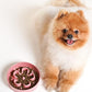 LE TAUCI Ceramic Slow Feeder Dog Bowls Small Breed, 0.6 Cups Dog Food Dish for Fast Eaters, Puzzle Bowl for Small Dogs and Cats,Pink Bloom