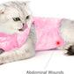 Cat Recovery Suit for Male and Female Surgical Post Surgery Soft Cone Onesie Tie Dye Cats Shirt Clothes Neuter Licking Protective Diapers Outfit Cover Kitten Spay Collar Alternative(Pink, S)