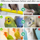Hamiledy Bird Grinding Perch for Parrots Sand Bird Perches Claw Trim Cage Perches for Parakeets Cockatiels Lovebirds Canaries Green Cheeked Conures and Similarly Sized Birds(8 Pcs 0.78 in Diameter)