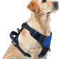 PUPTECK No Pull Dog Harness for Large, Adjustable Reflective Dog Harness with Handle Easy Control, Comfortable Soft Padded Pet Vest Harness for Large Dogs, Blue L