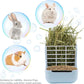 Litewoo Rabbit Hay Feeder Guinea Pig Feeder, 2 in 1 Automatic Small Animal Food Bowl Feeding Cage Accessories (Blue)