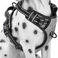 PoyPet No Pull Dog Harness, Reflective Comfortable Vest Harness with Front & Back 2 Leash Attachments and Easy Control Handle Adjustable Soft Padded Pet Vest for Small to Large Dogs (Gray,L)
