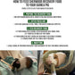 Pet Guinea Pig Emergency Kit with Timothy Recovery Food (Large Emergency Kit)