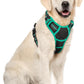 rabbitgoo Dog Harness No Pull with 2 Leash Clips, Adjustable Soft Padded, Reflective Oxford No Choke Pet Vest with Easy Control Handle for Large Dogs, Black & Turquoise, XL