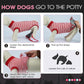 FUAMEY Dog Recovery Suit Male,Dogs Surgery Neuter Suits Puppy Spay Shirts for Female Protect Dog's Skin Anti Licking Abdominal Wounds Doggie Onesie Pet Bodysuit Alternative to Cone Red Stripes M