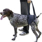 Dog Lift Harness for Dogs with Disabled Arthritis and Weak Back Legs, humanized Design with Comfortable Materials, Adjustable Back Legs and Straps, Suitable for Helping Dogs to Recover and Walk. (M)