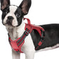 rabbitgoo Dog Harness Small Sized No Pull, Tactical Service Pet Vest with Molle and Control Handle, Adjustable and Reflective Military Harness for Easy Walking and Training, Red, S