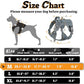 rabbitgoo Dog Harness Medium Sized No Pull, Tactical Service Pet Vest with Molle and Control Handle, Adjustable and Reflective Military Harness for Easy Walking and Training, Grey, M