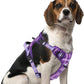 PUPTECK No Pull Dog Harness Medium Sized, Adjustable Reflective Dog Harness with Handle Easy Control, Comfortable Soft Padded Pet Vest Harness for Medium Dogs, Plaid Purple M