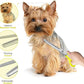 Laazar Dog thinning shears for dogs - Sharp Stainless Steel Blades with Colorful Handles, Safe and Easy-to-Use With Beautiful results, Long Lasting dog grooming thinning shears