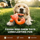 Dog Chew Toy for Aggressive Chewers – Durable Nylon Material, Tough Interactive Dog Toy for Large and Medium Dogs, Perfect for Teeth Cleaning and Gum Health, Christmas Birthday Gifts for Dogs
