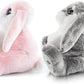 My OLi Bunny Stuffed Animal Pack of 2 Plush Rabbit 7in Stuffed Bunny with Floppy Ear Bedtime Friend Soft Toy Gifts for Girls Boys Kids, Gray & Pink