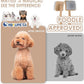 Large Slicker Brush for Dogs - 3PC Pet Grooming Kit - Undercoat Rake & Stainless Comb | Long Pins Remove Mats on Poodles, Golden, Labradoodles | Thick Coat Deshedder for Dogs, Cats, Oak