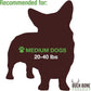 Buck Bone Organics Dog Chews, Moose Antlers for Dogs, Long Lasting Dog Bones for Aggressive Chewers, All Natural, No Preservatives, Wild Shed in The USA (Medium)