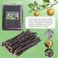 Natural Apple Wood Chew Sticks 300g (10.5oz) for Rabbits, Hamsters, Chinchillas, Guinea Pigs - Small Animal Dental Toys, Safe Untreated Teeth Grinding & Boredom Relief, Rodent Molar Health (120g)