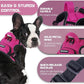 BUMBIN Dog Harness for Large Dogs, No Pull Adjustable No Choke Pet Vest with Dog Leash Fit Smart Reflective Pet Walking Harness for Training Easy Control Soft Handle Rose Red S