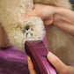 WAHL Professional Animal Bravura Lithium Ion Clipper - Pet, Dog, Cat, and Horse Corded/Cordless Clipper Kit, Purple (41870-0423)