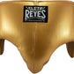 CLETO REYES Kidney and Foul Groin Protector, Boxing Training Equipment, Protective Gear for Men, Black