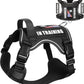 WINSEE Service Dog in Training Harness with 5 PCS Patches, Reflective Tactical Dog Vest Harness, Adjustable Soft Oxford Pet Harness with Easy Control Handle, Hook & Loop Panels for Walking Hiking