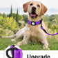TagME Airtag Dog Collar,Waterproof Reflective Pet Collar with Airtag Holder,Soft Padded and Double D-Rings for Large Dogs,Purple