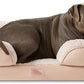 TOWN & COUNTRY EVERYDAY CuddleTown Comfy Solid Bolster Sofa Pet Bed, Supportive & Calming Egg Crate Foam, Non-Slip Bottom, Machine Washable Cover, Warm Taupe, Large 35"x25"x8"