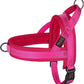 Didog No Pull Dog Harness with Soft Mesh Padded,Reflective & Quick Fit Light Weight Dog Strap Vest Harness,Easy for Walking Training (M:Chest 21-26", Mesh-Hot Pink)