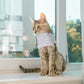 Cat Neck Brace, Adjustable Breathable Elizabethan Collar for Pet After Surgery Recovery Cat Neck Cervical Cone for Small Medium Dogs Puppies Kittens with Neck Circumference 8.2-10.2 Inch (Grey, S)