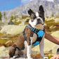 Eagloo Dog Harness Medium Sized Dog, No Pull Service Vest with Reflective Strips and Control Handle, Adjustable and Comfortable for Easy Walking, No Choke Pet Harness with 2 Metal Rings, Sky Blue, M