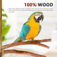 2pcs Bird Parrot Perch Stand Poles, Natural Wooden Parrot Perch for Cage, Branches Fork Rod for Small Parakeets Cockatiels Conure Lovebirds Bird Cage Accessories