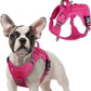 rabbitgoo Tactical Dog Harness for Small Dogs, No Pull Military Service Vest with Handle & Molle, Easy Control for Training Walking, Adjustable Reflective Straps, Rose Red, S