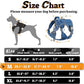 rabbitgoo Dog Harness Medium Sized No Pull, Tactical Service Pet Vest with Molle and Control Handle, Adjustable and Reflective Military Harness for Easy Walking and Training, Blue, M