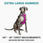 Embark Adventure Dog Harness, Reflective Trim XL Dog Harness for Extra Large Dogs No Pull - Military Grade Nylon, 2 Leash Clips & Gel Lined Handle.