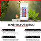 Morning Bird Kelp Granules 16 Oz – Iodine Supplement for Birds – Supports Feather Growth, Molting & Metabolism – Rich in Amino Acids, Trace Minerals & Natural Vitamins – Clean Nutrition for All Birds