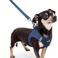 rabbitgoo Dog Harness Small Sized and Leash Set, Step in Soft Light Puppy Vest, Breathable Mesh Pet Harness, Reflective for Outdoor Safe Walking, Navy Blue XXXS
