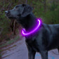Light up Dog Collar, BSEEN USB Rechargeable Flash Dog Necklace Light, Pet Safety Collar Makes Your Beloved Dogs Be Seen at Night for Small Medium Large Dogs(Purple)