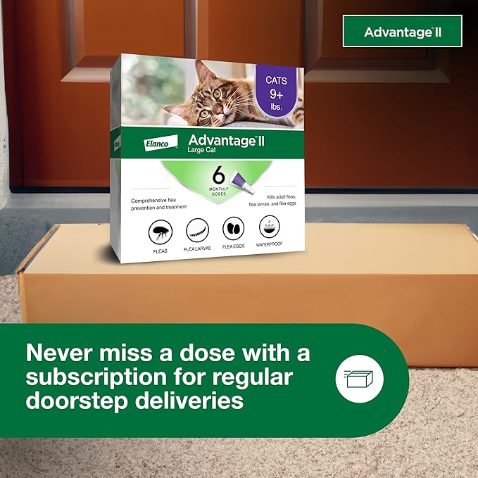 Advantage II Large Cat Vet-Recommended Flea Treatment & Prevention | Cats Over 9 lbs. | 6-Month Supply