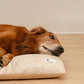 FUNNY FUZZY Washable Dog Bed,Reversible Plush Dog Crate Mat, Soft Fluffy Kennel Pad,Pet Sleeping Mattress for Jumbo,X-Large Sized Dogs Breeds,2XL,48"× 31",Beige