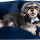 Hollypet Fluffy Plush Pet Cat Couch Sofa Soft Calming Pet Dog Sofa Beds for Medium Small Cats and Dogs, Cobalt Blue