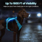 Light Up Dog Harness,Reflective Pet Harness Rechargeable,Led Dog Vest Harness for Night Walking,Adjustable Dog Safety Vest for Small Medium Large Dogs-No Pull,Blue,M