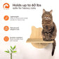 Wall-Mounted Cat Furniture for Climbing - Indoor Wooden Floating Shelves, Perches, Hammock, Bed, Bridges, Walkways - Different Models