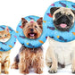 Cat Cone Collar Soft Cute Adjustable Cat Donut Recovery Collar Elizabethan Cats Cones to Stop Licking Comfortable Anti-Bite Neck Cone for Pet Kittens After Surgery