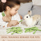 Bissap 50PCS Rabbit Chew Sticks, Natural Papaya Stems Bunny Chews Treats for Rabbits Hamsters Chinchillas Guinea Pigs Small Animals Organic Molar Chewing Snack