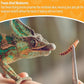 Freeze Dried Mealworms 6 Oz - High Protein Pet Food for Reptiles, Bearded Dragons, Birds & Hedgehogs - Nutrient-Packed Treat for Lizards, Geckos, Turtles, Chickens