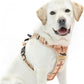 PUPTECK No Pull Dog Harness for Large, Adjustable Reflective Dog Harness with Handle Easy Control, Comfortable Soft Padded Pet Vest Harness for Large Dogs, Plaid Beige L