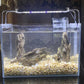 Natural Dragon Rock Carefully Selected Mixed Sizes, Decorative Aquarium Rocks, Aquarium Stones for Fish Tank (4.4lb)
