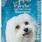 BioGroom Super White Shampoo (32 fl oz)
