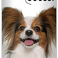 The Blissful Dog Papillon Nose Butter for Dry, Cracked Skin, Lick-Safe Dog Nose Balm with Moisturizing Shea Butter, Almond, Olive, and Essential Oils, Pet Supplies, Uncented, 0.50 oz.