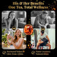 Ginseng Six Treasure Tea - Traditional Kidney Tea for Men & Women, Natural Herbal Formula Bags with 6 Precious Ingredients, Gift for Spouses, Wellness Seekers, Fitness Lovers(1 Pack/25 Bags)
