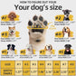 Hcpet Dog Shoes for Large Dogs, Waterproof Dog Booties for Small Medium Dogs, Anti-Slip Dog Boots & Paw Protectors for Hot Pavement Winter Snow Hiking with Reflective Straps Black Size 7