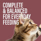 Chewer's Joy Wet Cat Food Variety Pack – 3 Flavors: Tuna & Salmon, Chicken & Turkey – Natural Pâté – High Protein – Grain Free – Complete & Balanced Nutrition – 12 Cans (3 oz)